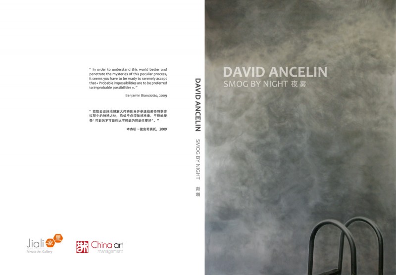 David Ancelin Smog by night catalogue cover