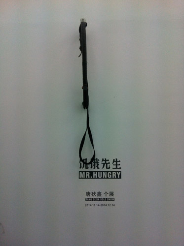 201411-Exhibitions-shanghai-Tang-Dixing1