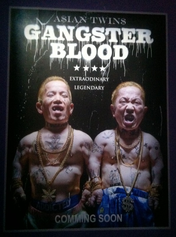Gangster Blood Asian Twins