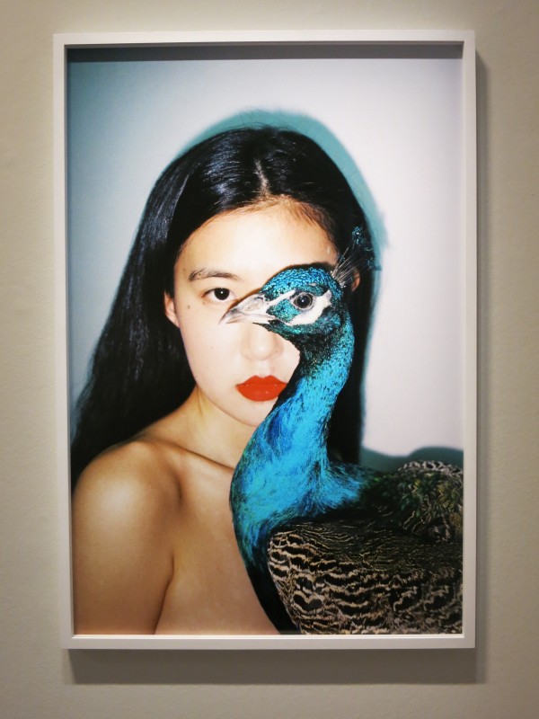 Ren Hang MEP exhibition 