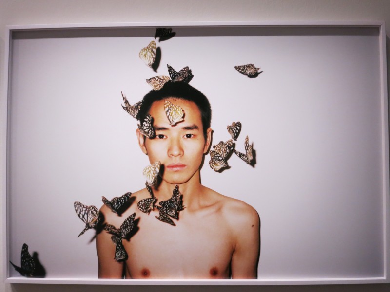 Ren Hang MEP exhibition