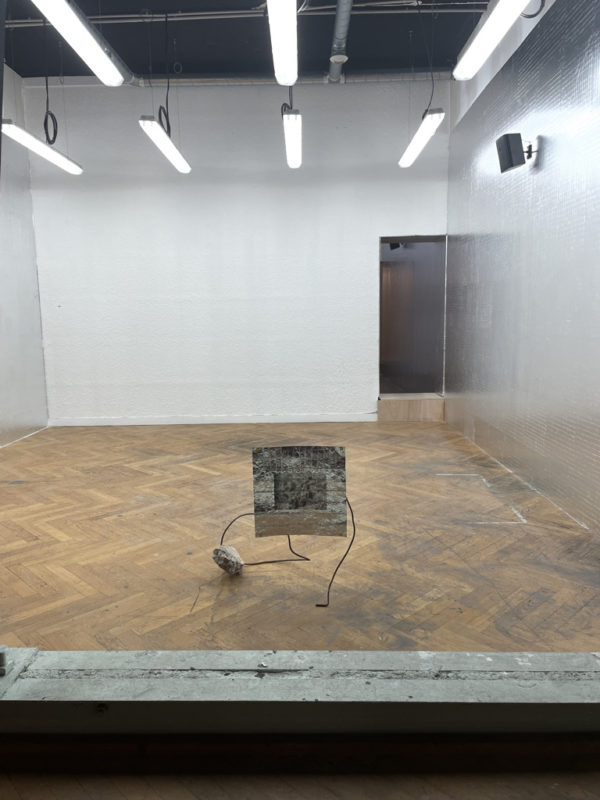 Zhang Ruyi, Vacant Lot, 2022 Site-specific installation commissioned by Lyon Biennale