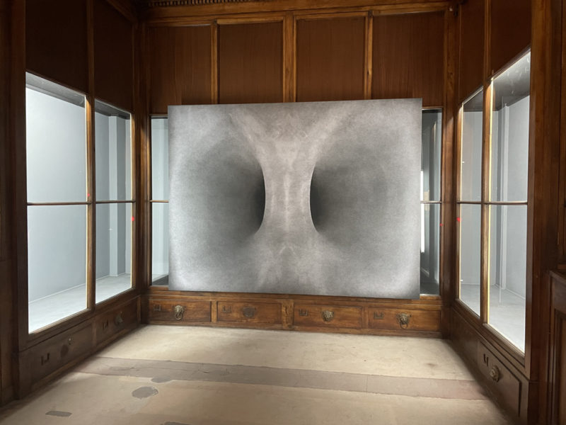 Zhang Yunyao Connector II, 2022,  installation view at Musée Guimet Musée d'Histoire Naturelle