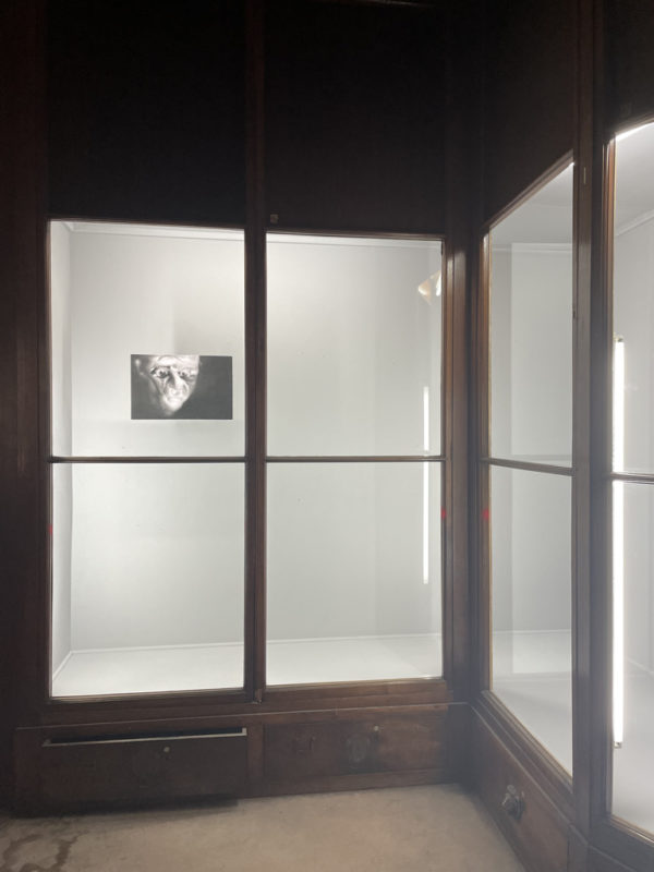 Zhang Yunyao Me, 2022,  installation view at Musée Guimet Musée d'Histoire Naturelle
