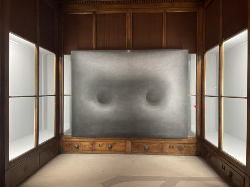 Zhang Yunyao, A pair of Sag II, 2022. Installation view at Musée Guimet Musée d'Histoire Naturelle Lyon
